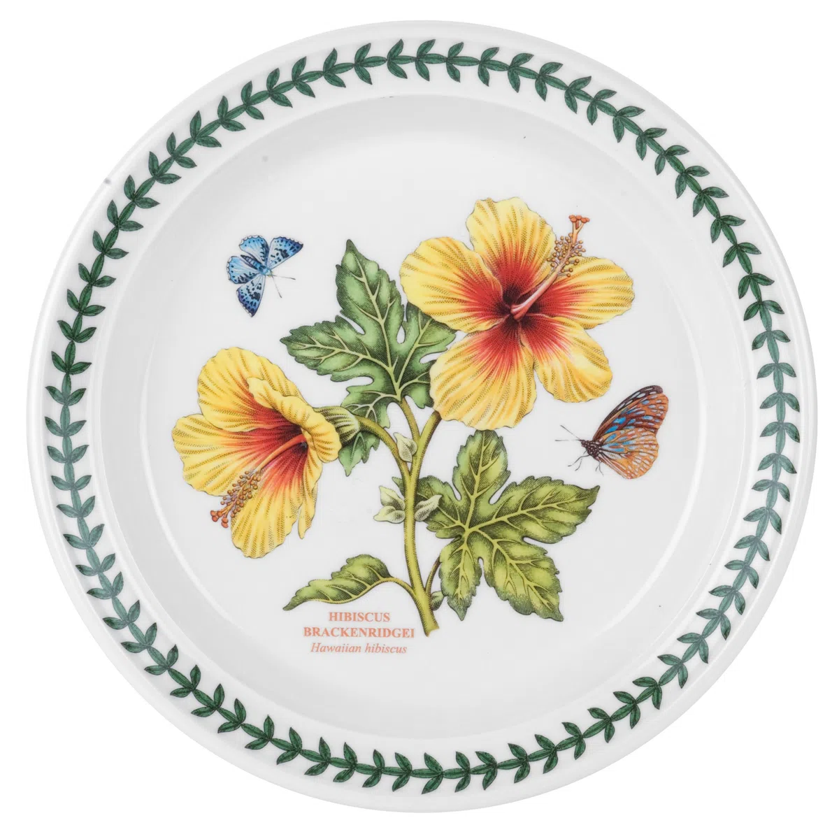 Portmeirion Home & Gifts 520172 - Juego de platos de ensalada de jardín botánico exótico con 6 Moti surtidos