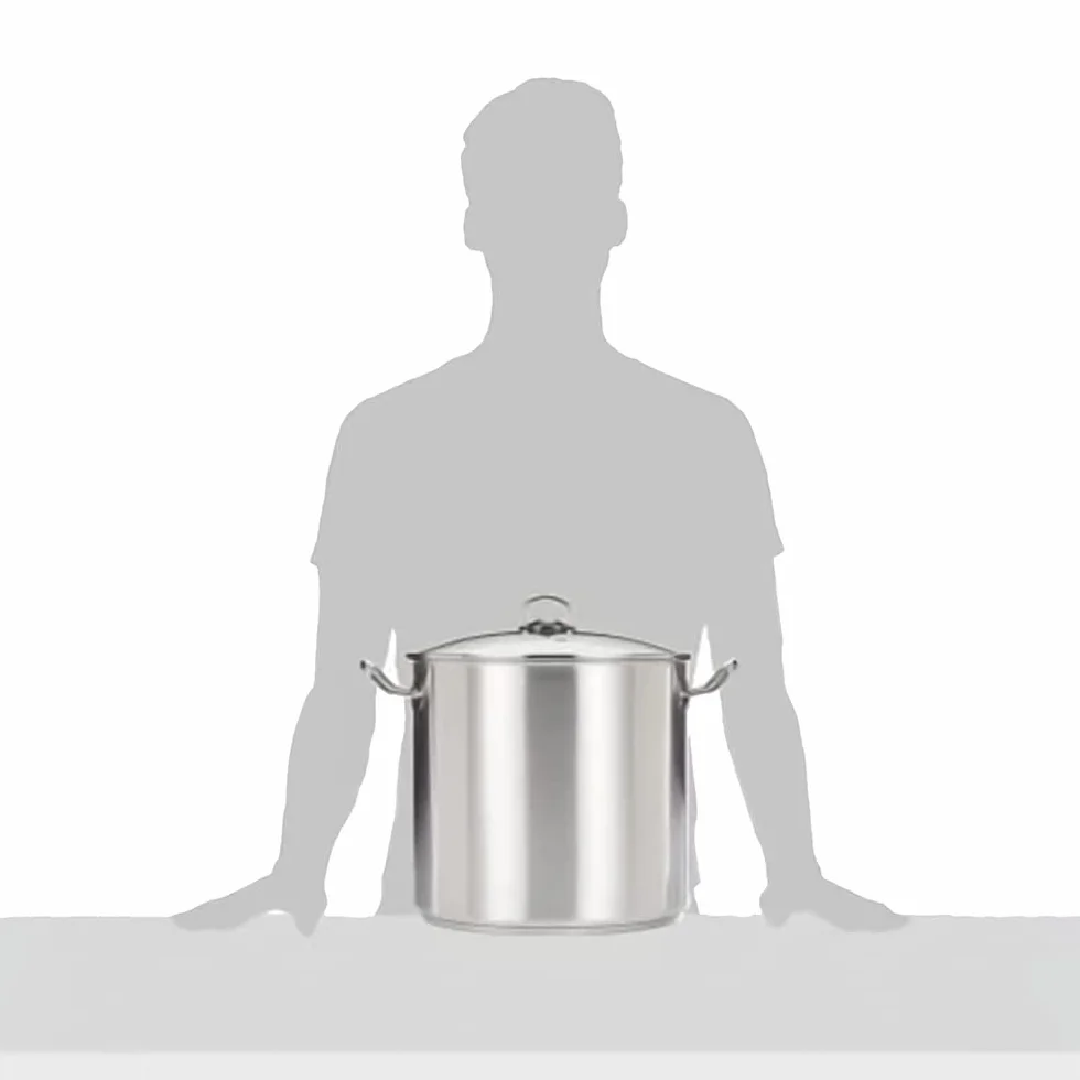 GSW 643474 - Olla grande profesional con tapa de cristal 30 x 28 cm / aprox. 20 litros, de acero inoxidable, plateada, 44 x 31,5 x 29,5 cm, 2 unidades