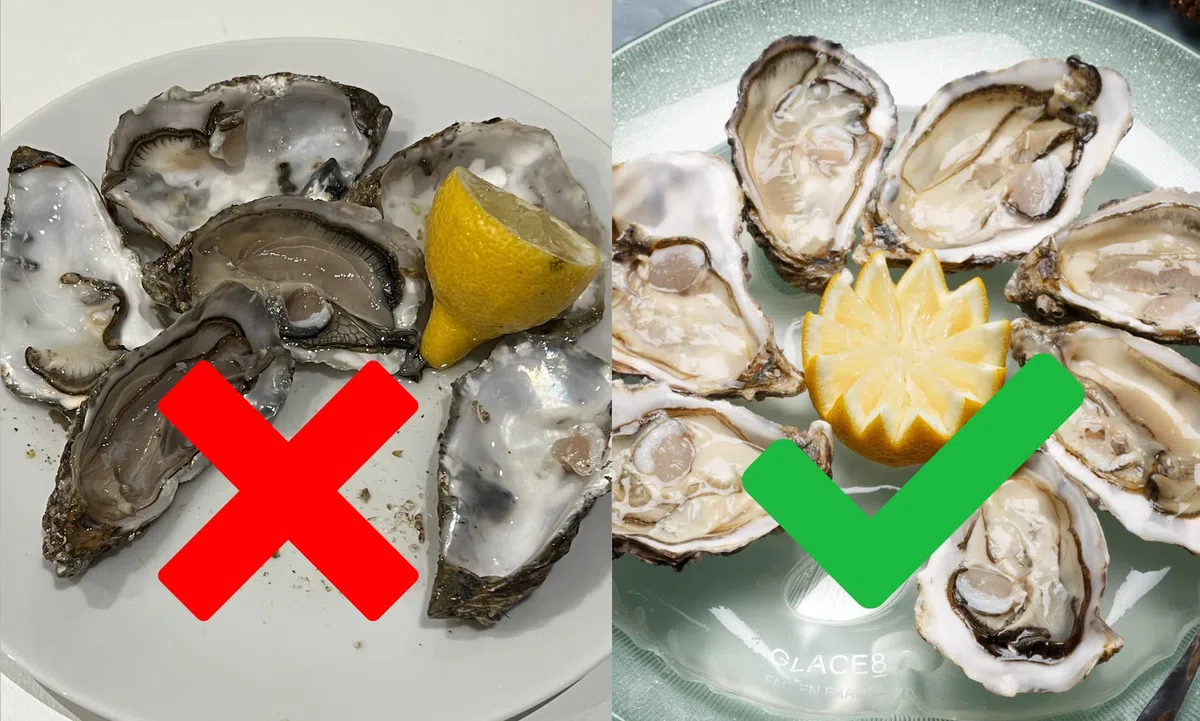 Platos de ostras refrigerantes en bolsa de hielo (13 + 2 ofertas – sin embalaje) para profesionales CHR