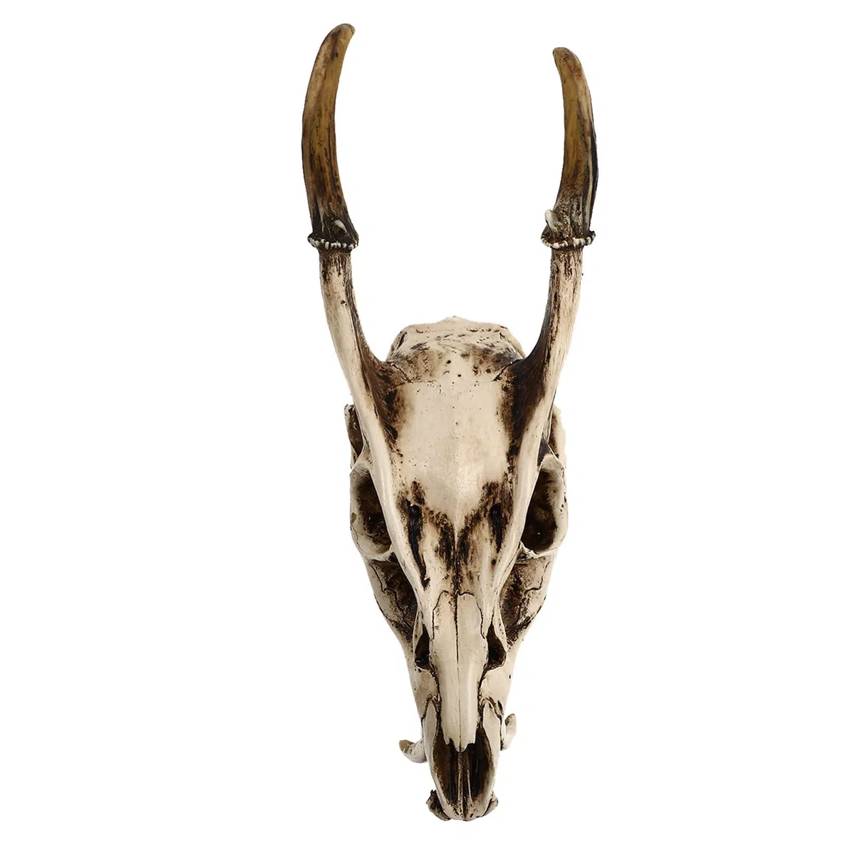 Healifty Escultura de cabeza vikinga para colgar en la pared, decoración coleccionable de Halloween