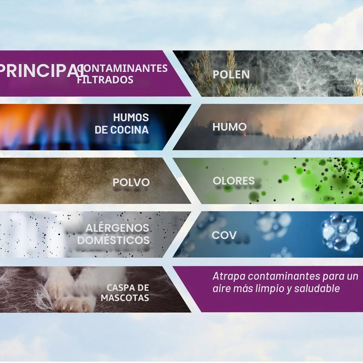 WINIX Filtro H para purificador de aire WINIX ZERO S y WINIX 2020EU