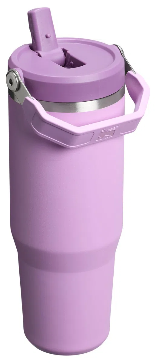 Stanley IceFlow 2.0 - Vaso con popote abatible de 30 onzas, color lila (caja)