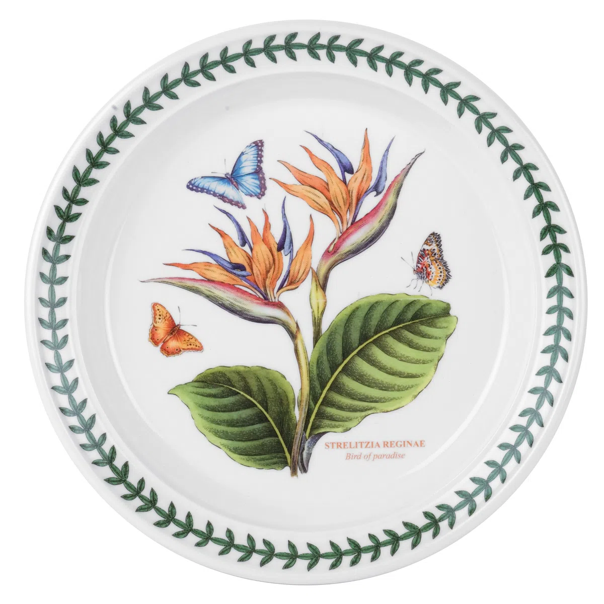 Portmeirion Home & Gifts 520172 - Juego de platos de ensalada de jardín botánico exótico con 6 Moti surtidos