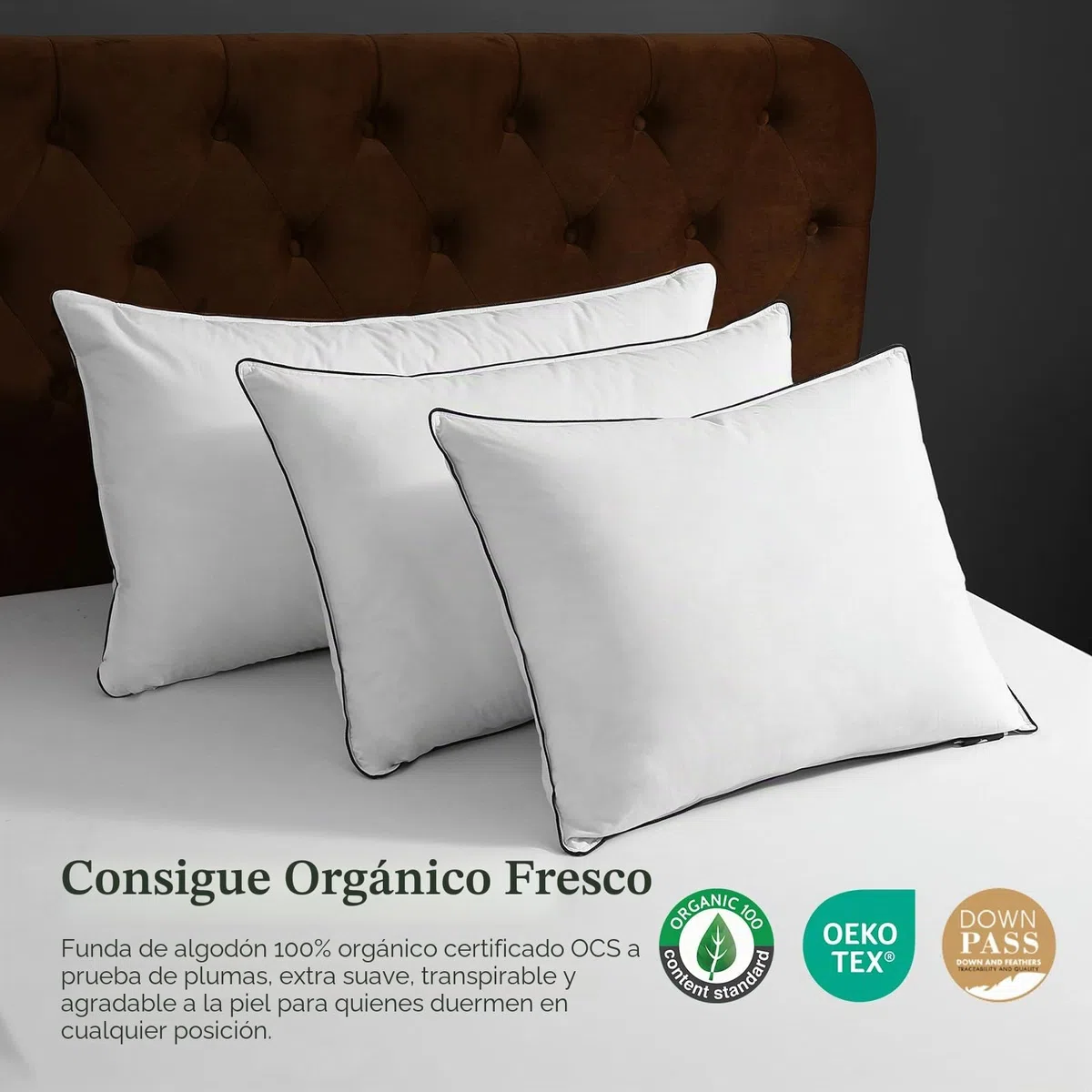 DWR Almohadas de Plumas y Plumón de Ganso,Paquete de 2 Lujosa Plumón de Plumas Orgánico Almohadas, Diseño de 3 Habitaciones, Relleno de Pluma de Ganso, Lavable a Máquina,Blanco 40x80cm