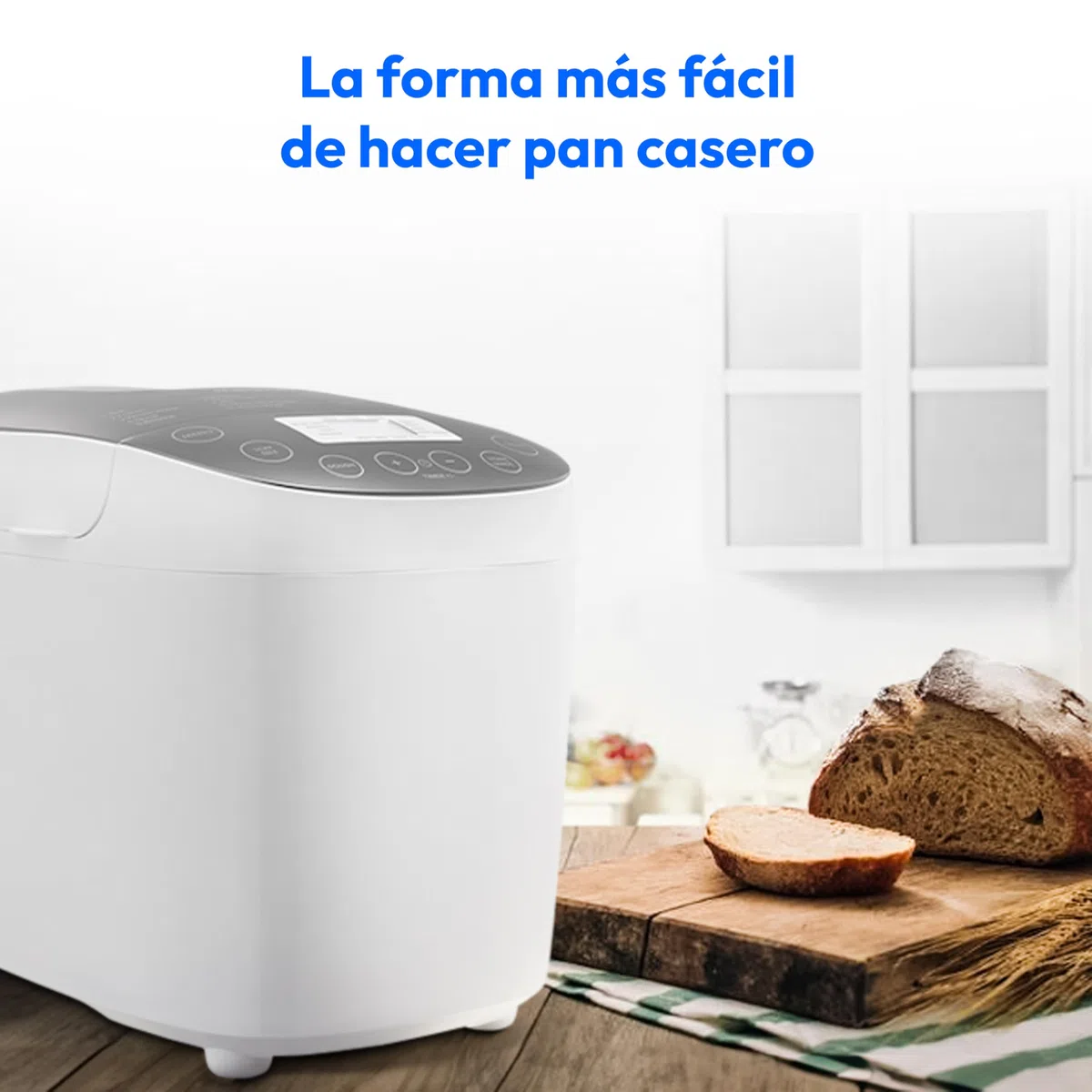 MEDION Panificadora (panificadora, 950 vatios, hasta 1600 g, 20 programas de horneado, 3 niveles de dorado, función mantener caliente, ventana de visualización, preajuste de tiempo, MD 12040)