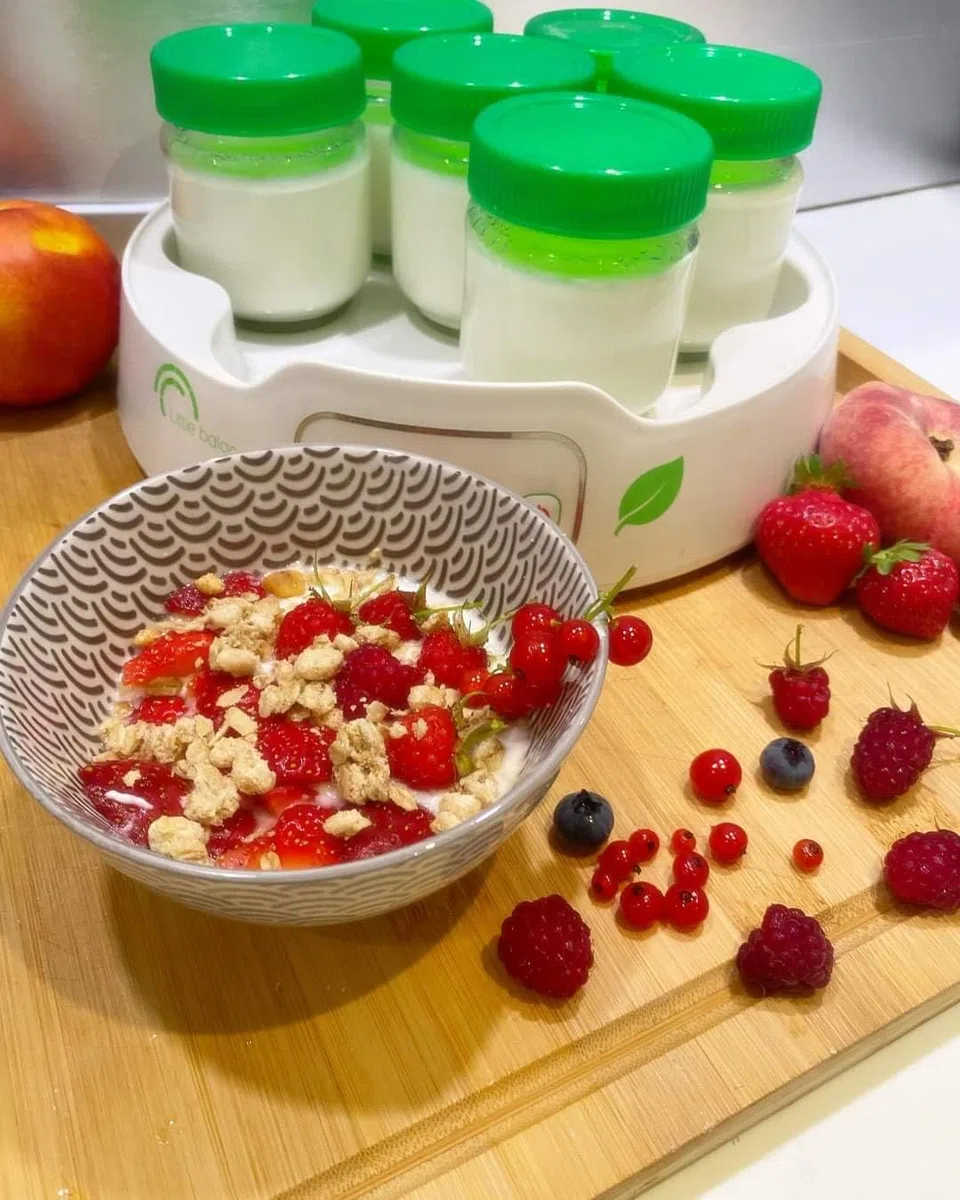 Little Balance Yogurtera 8487