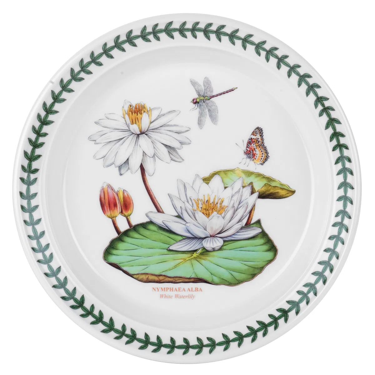 Portmeirion Home & Gifts 520172 - Juego de platos de ensalada de jardín botánico exótico con 6 Moti surtidos