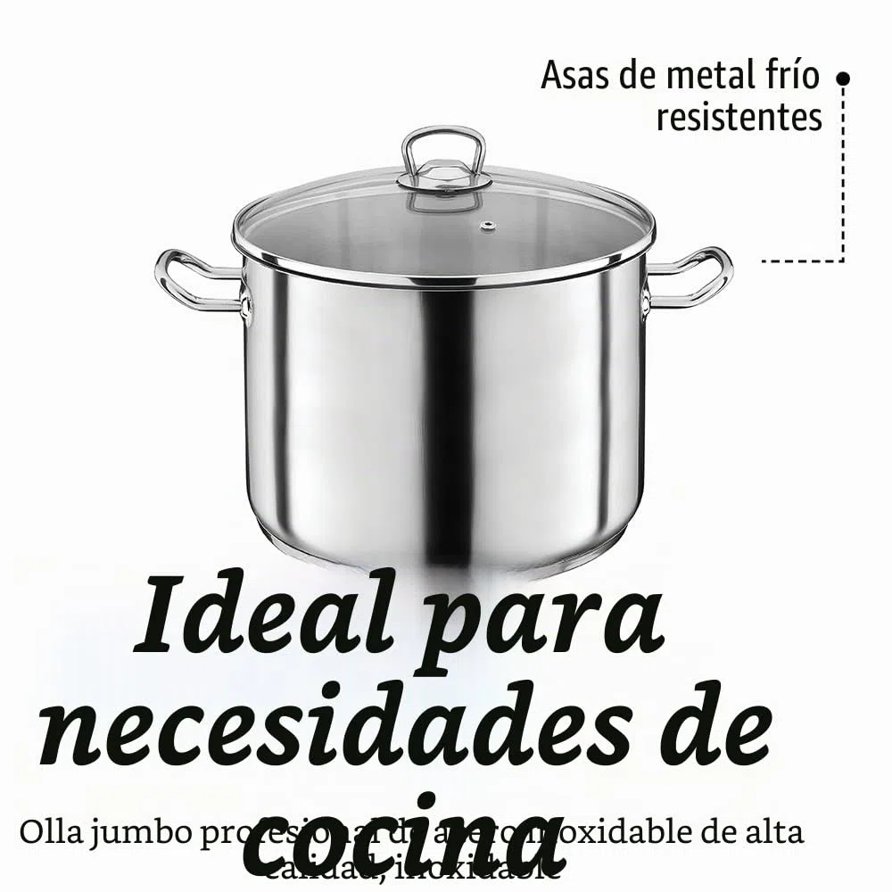 GSW 643450 - Olla grande profesional con tapa de cristal 28 x 19 cm / aprox. 12,0 L, de acero inoxidable, plateada, 42 x 29,5 x 20,5 cm, 2 unidades