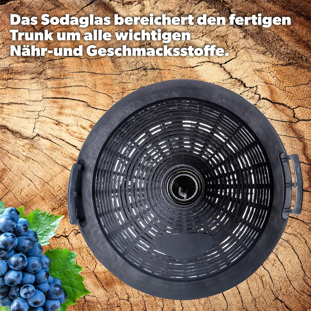 KADAX - Globo de Cristal con Cesta de plástico, tapón de Goma, Abertura Estrecha, Botella de Vino, Botella de Cristal, gallón, Recipiente de fermentación, Cristal y plástico, Gris, 54L