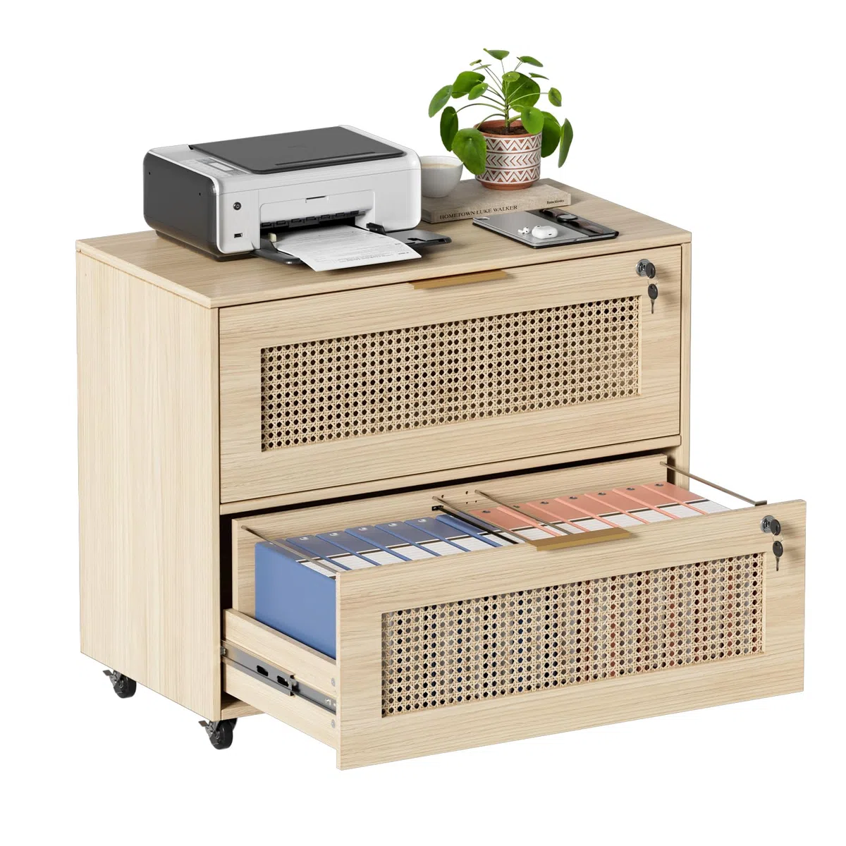 MSFE Mueble Archivador con 2 Cajones para Documentos Archivador Móvil para Archivos A4/B5/F4 Cajoneras Escritorio con Estante Ajustable Armario Archivador Móvil con 4 Ruedas para Oficina 79x40x67.5CM