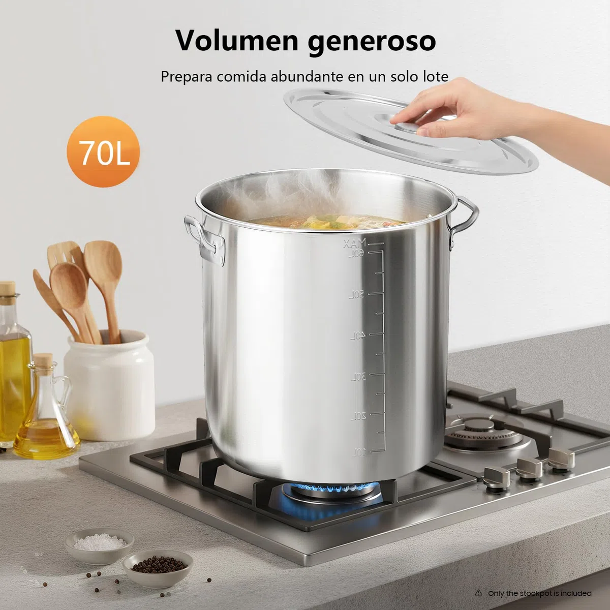 Olla grande de acero inoxidable de 70 L, con asas, diámetro de 45 cm, altura: 45 cm, tapa de fregadero, superficie pulida, olla grande de acero inoxidable para cocinas de gas, cocinas