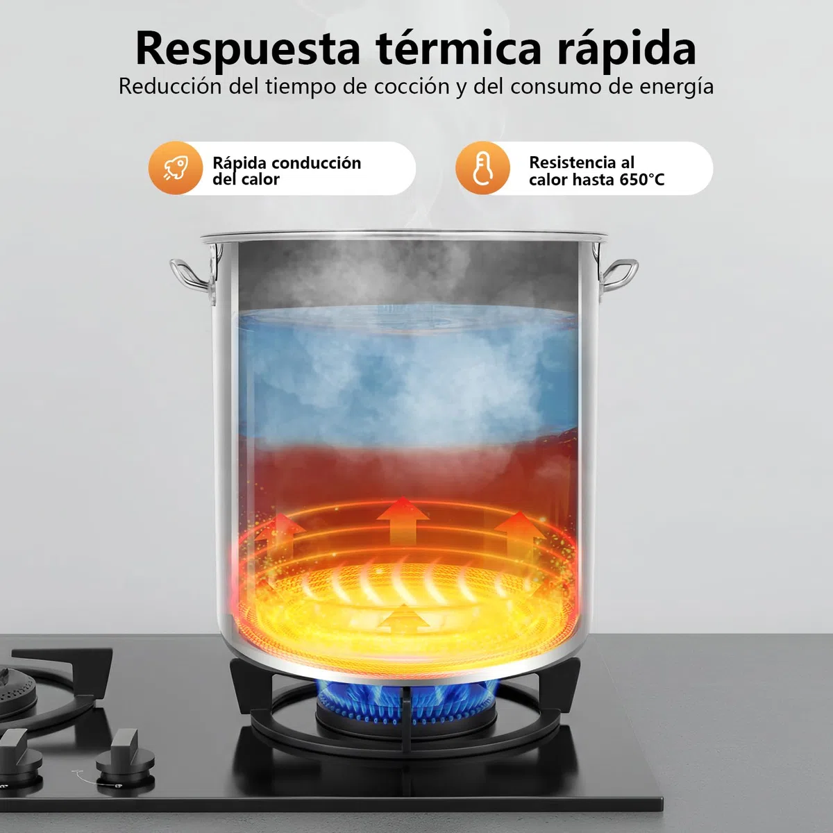 Olla grande de acero inoxidable de 70 L, con asas, diámetro de 45 cm, altura: 45 cm, tapa de fregadero, superficie pulida, olla grande de acero inoxidable para cocinas de gas, cocinas