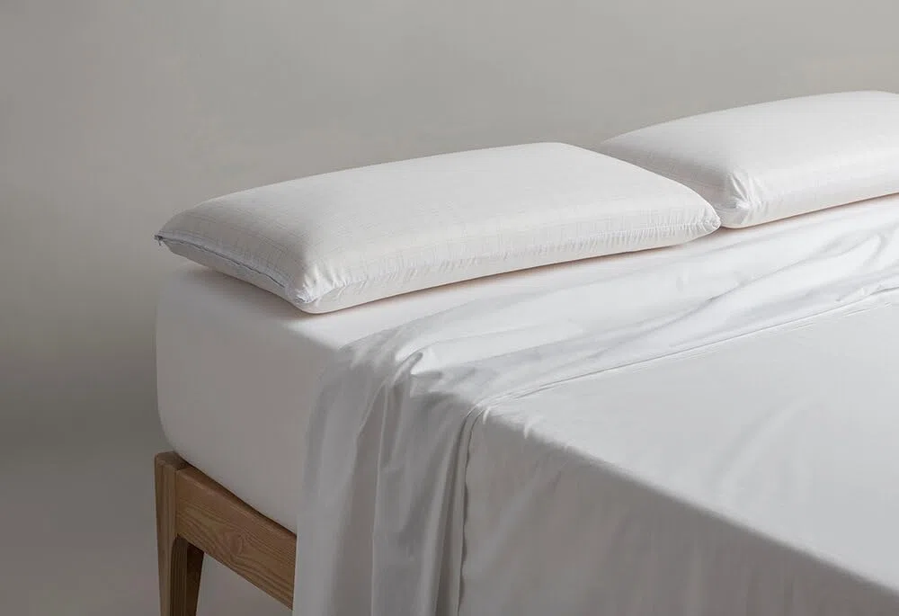 Almohada Visconube Antiácaros (75 cm)