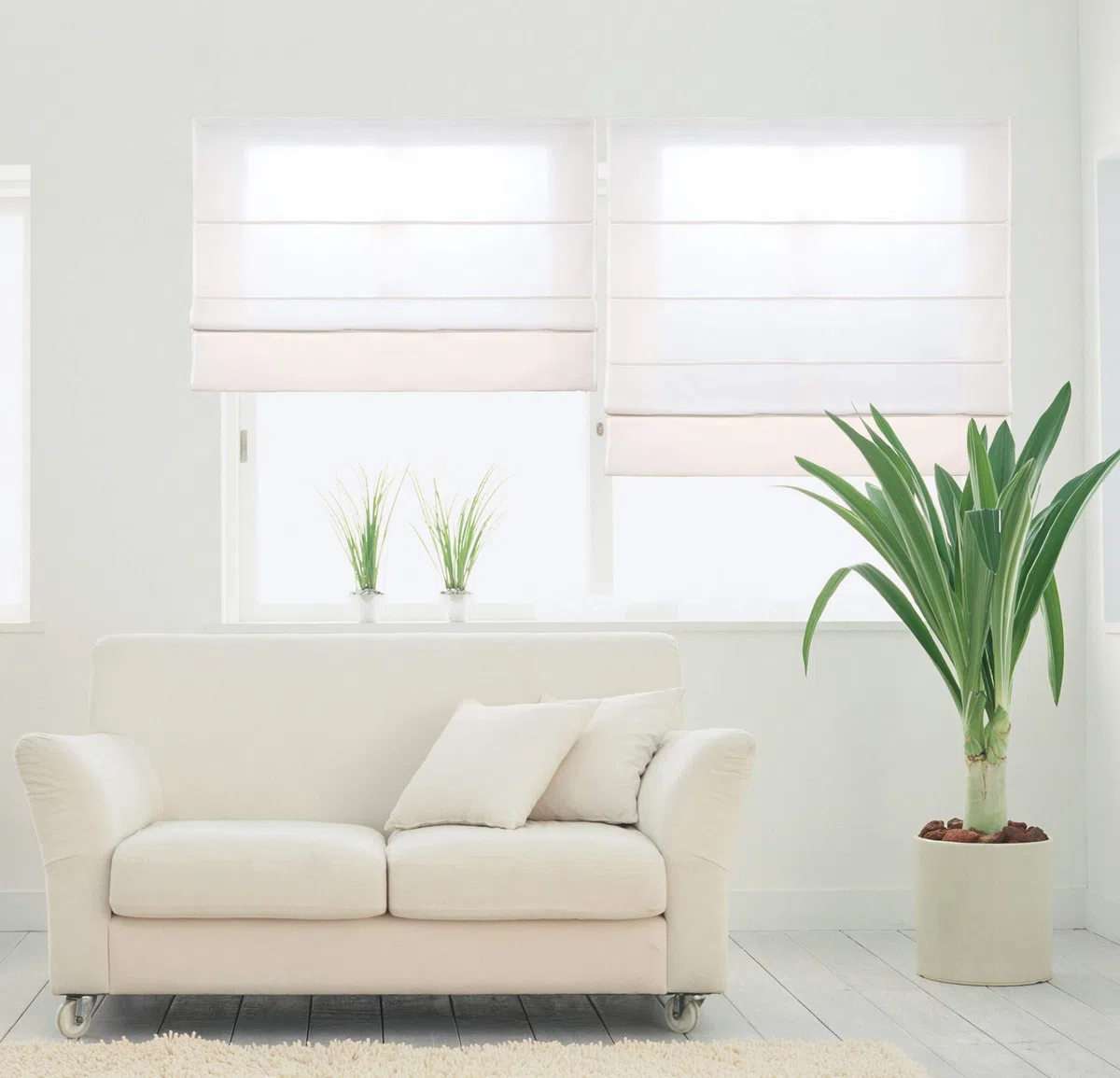 Estores Plegables con Varillas Premium, Estor Traslúcido de Fácil Instalación ofreciendo un Filtrado de Luz Moderado, Aporta Calidez y Estilo a tu Salon o Dormitorio STORESBASIC Crudo 150x250