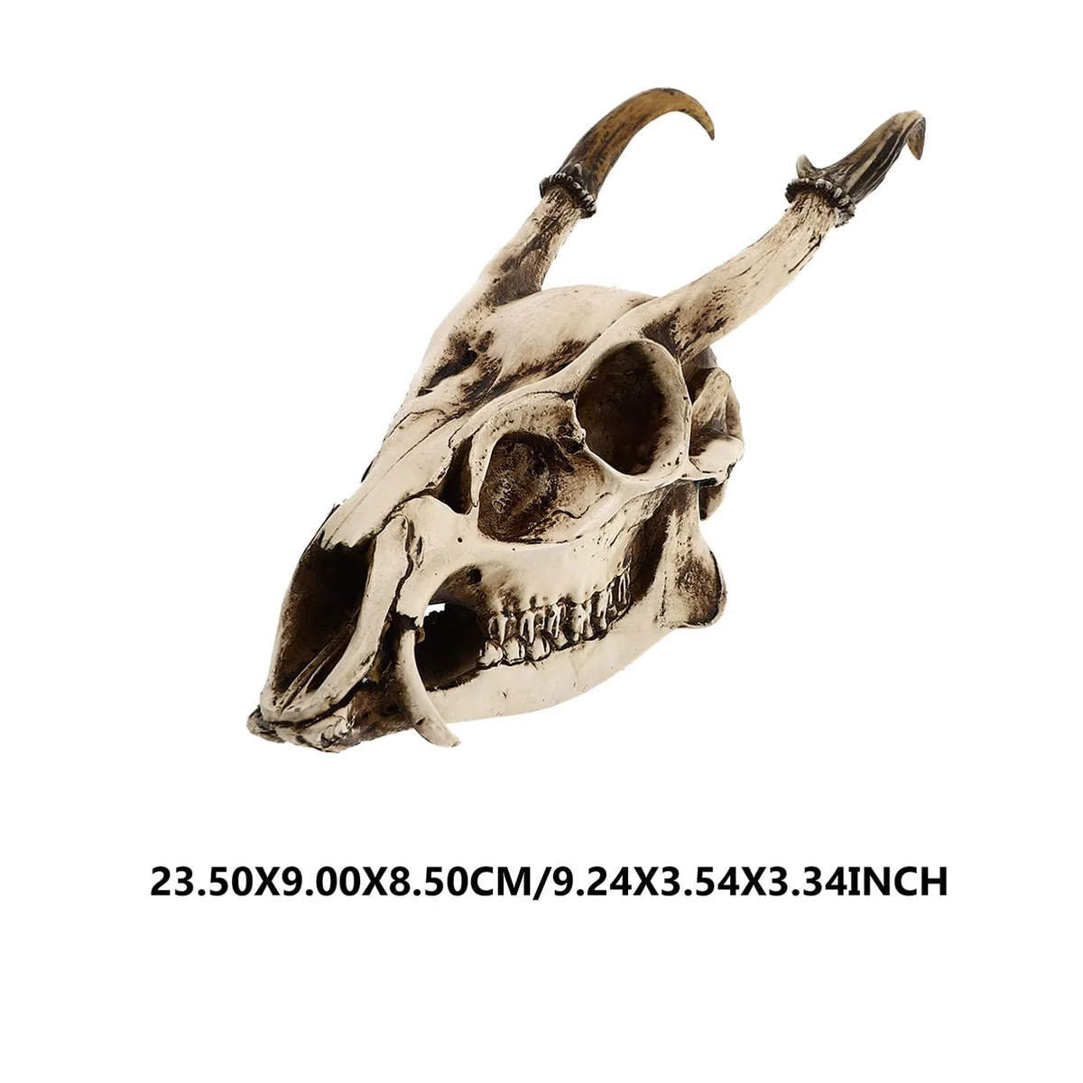 Healifty Escultura de cabeza vikinga para colgar en la pared, decoración coleccionable de Halloween