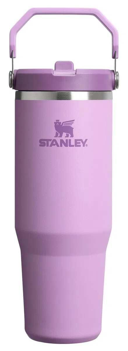 Stanley IceFlow 2.0 - Vaso con popote abatible de 30 onzas, color lila (caja)