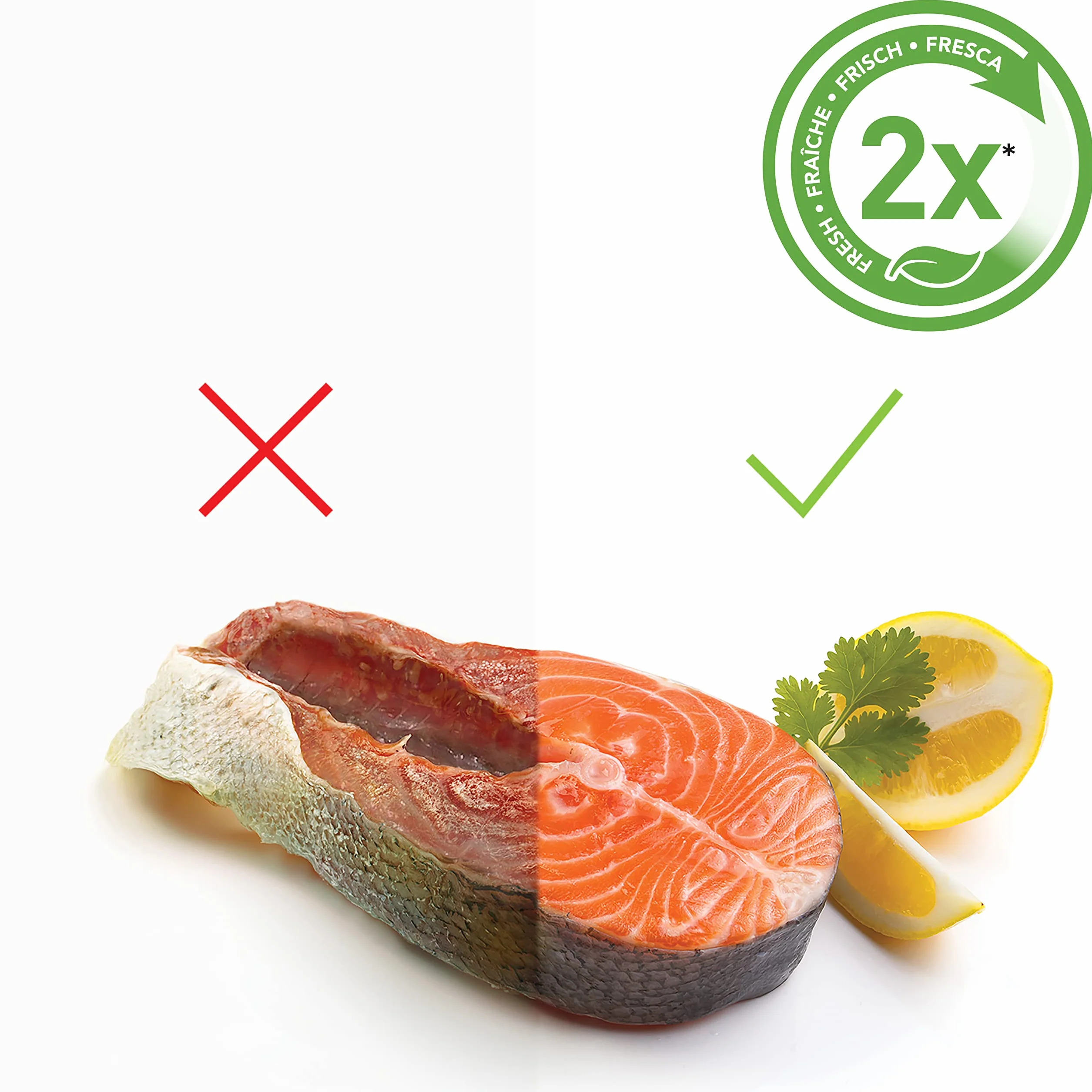Foodsaver sellador de vacío inalámbrico de 2.5w VS1199X