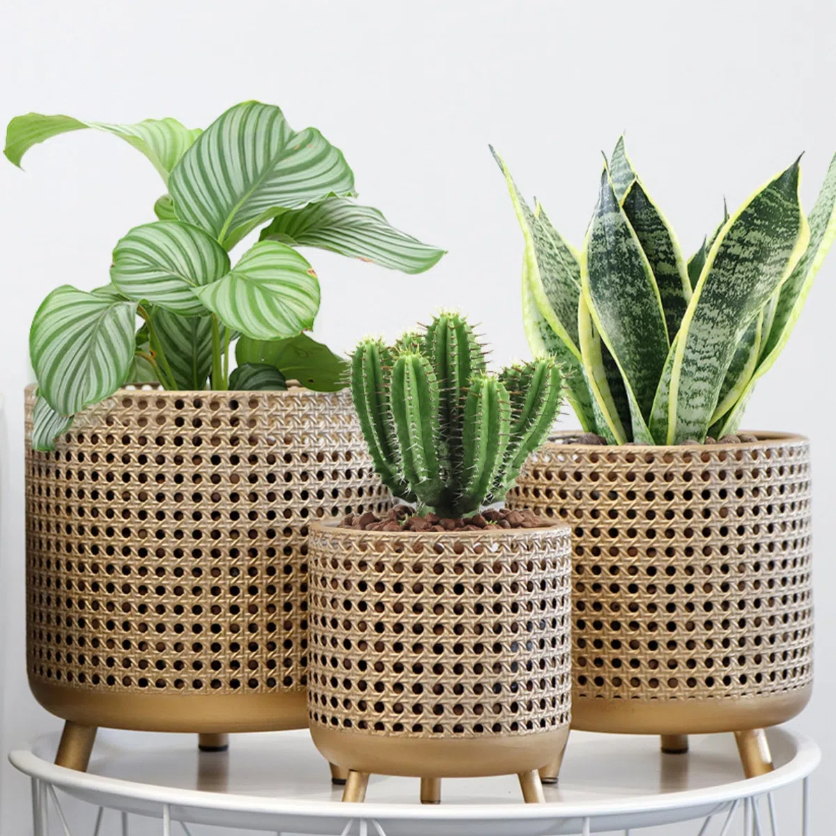 JHY DESIGN Set de 3 macetas, decoración metálica, macetas con diseño Hueco, Grandes macetas para Interior y Exterior, jardín, hogar, balcón, barandilla, Plantas en Valla (Oro)