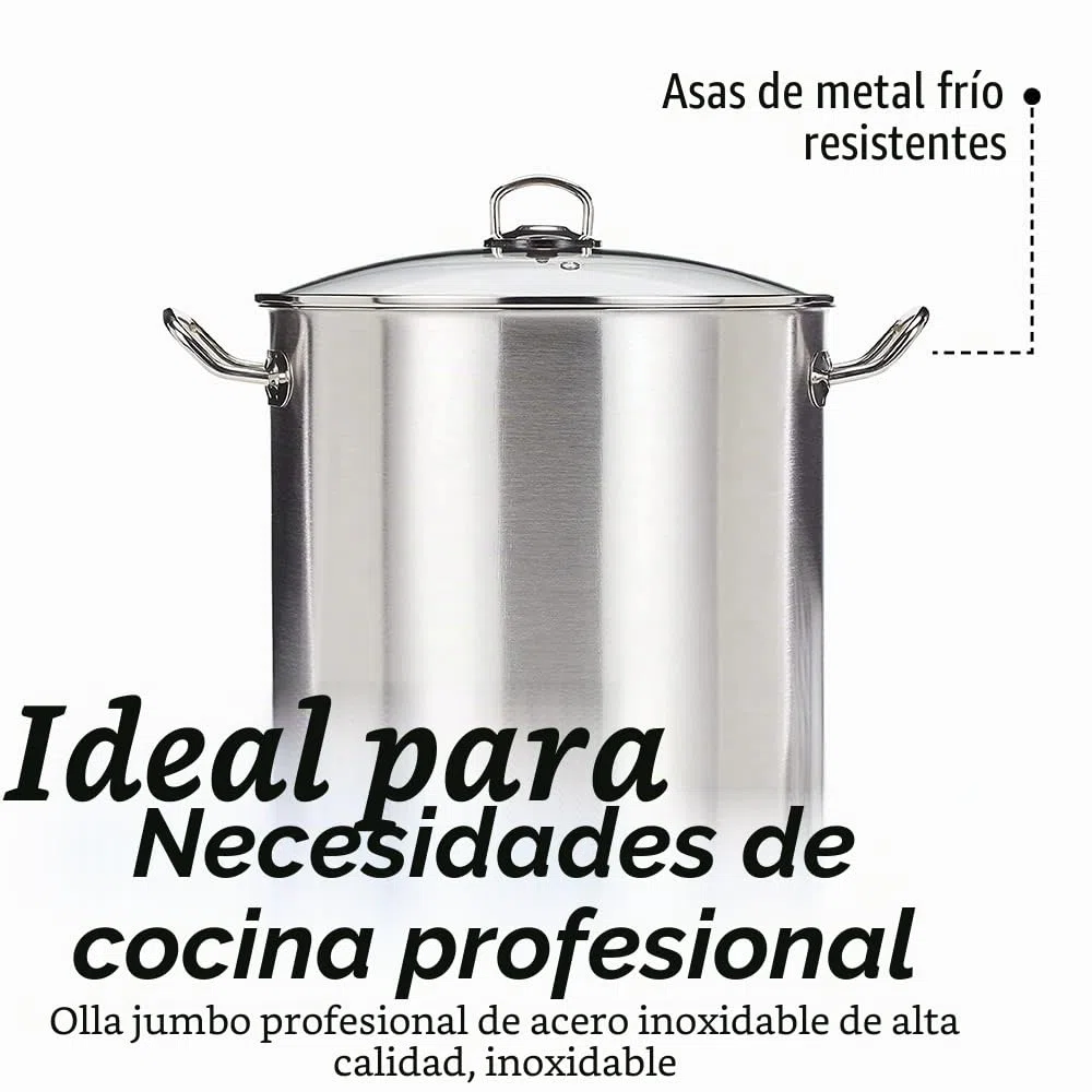 GSW 643474 - Olla grande profesional con tapa de cristal 30 x 28 cm / aprox. 20 litros, de acero inoxidable, plateada, 44 x 31,5 x 29,5 cm, 2 unidades